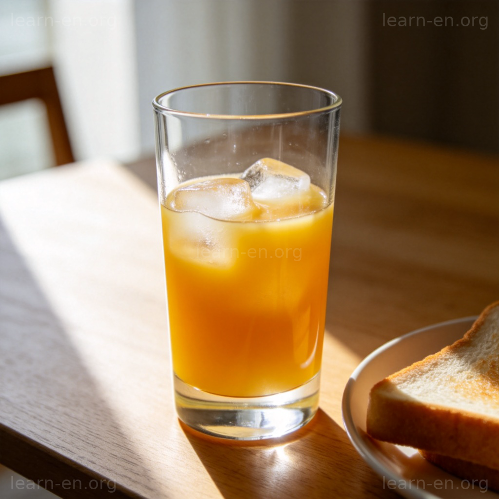 glass 玻璃杯含义图解：装有橙汁和冰块的透明玻璃杯