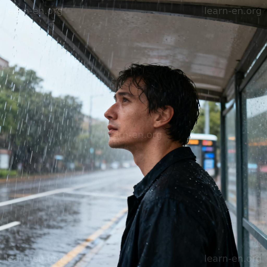 shelter 含义图解：雨天在公交站台躲避的行人